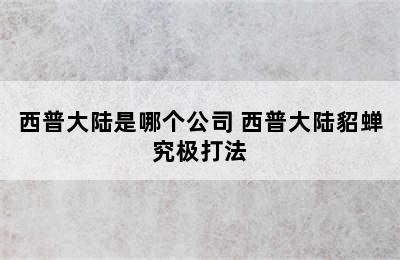 西普大陆是哪个公司 西普大陆貂蝉究极打法